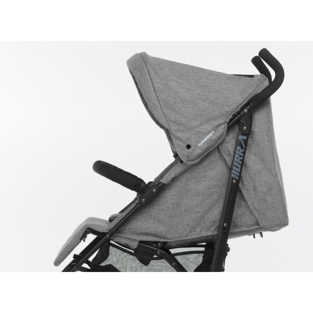 Hood that can also be used as a sunshade and multi-position adjustable backrest