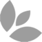 symbol-icon